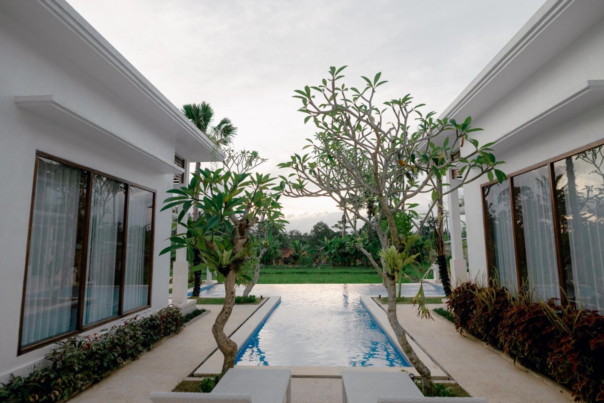 Namika Villas Ubud Kültér fotó